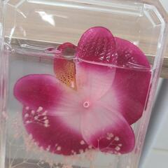 ハーバリウム　お花　ピンクの画像