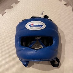 フェイスガード、ウイニング製