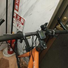 ルイガノ（ジャンク）の画像