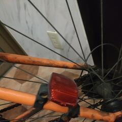 ルイガノ（ジャンク）の画像