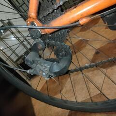 ルイガノ（ジャンク）の画像