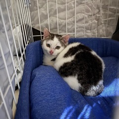 一時停止いたします！甘えん坊の男の子 − 広島県