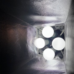 FloraX 照明器具　撮影 の画像