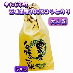 5令和6年度茨城県産100%コシヒカリブレンドなし。５キロ入り大...