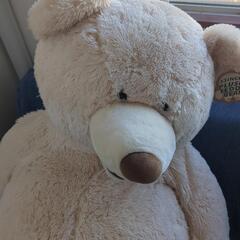 超BIGくまさん(^^最終価格)の画像
