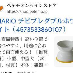 犬用茶碗  ❪磁器製の画像