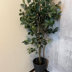 人工観葉植物