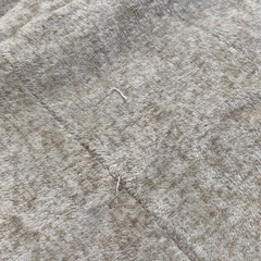 こたつの敷布団の画像