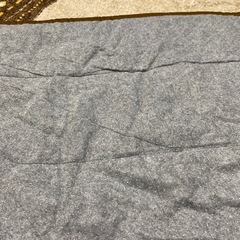 こたつの敷布団の画像