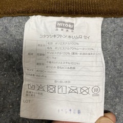 こたつの敷布団の画像