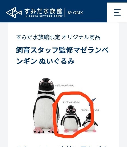 すみだ水族館限定】マゼランペンギン ぬいぐるみ Mサイズ 出品！ (SAKI