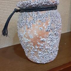 タコ壺 天然フジツボ付き