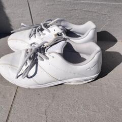 靴　ミズノの画像