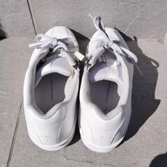 靴　ミズノの画像