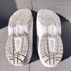 靴　ミズノの画像