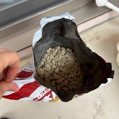 鉢底石の画像