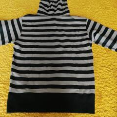 縞々パーカーの画像
