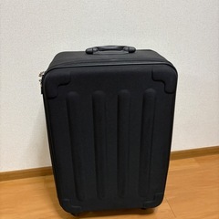 キャリーバックの画像
