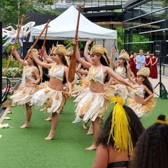 タヒチアンダンス生徒募集中🌺の画像