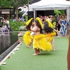 タヒチアンダンス生徒募集中🌺の画像