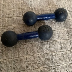 鉄アレイ スポーツの中古が安い！激安で譲ります・無料であげます｜ジモティー