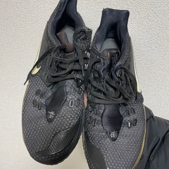バッシュ　カイリーLOW2
