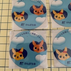 丸いマグネット8個の画像