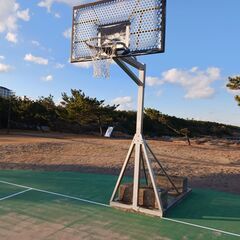 スポーツ好きな人募集中