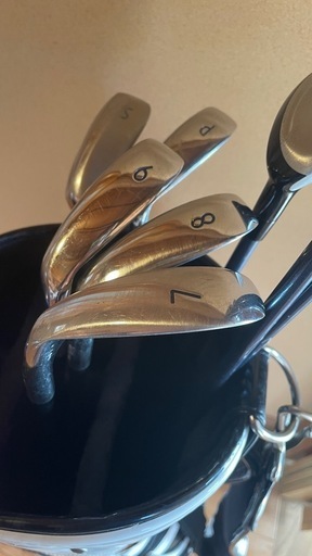 Wilson レディース ゴルフクラブ10本セット Wilson Palcess FL