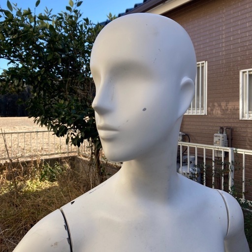 パールイデア パールマネキン レディース 全身 ①-2