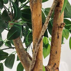 フェイクグリーン 観葉植物 人工観葉植物 造花 02の画像