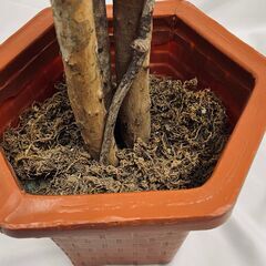 フェイクグリーン 観葉植物 人工観葉植物 造花 02の画像