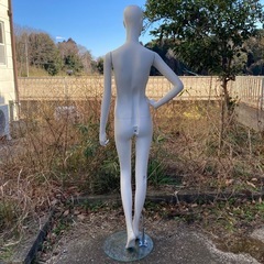 パールイデア パールマネキン レディース 全身 ②-2