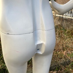 パールイデア パールマネキン レディース 全身 ②-2