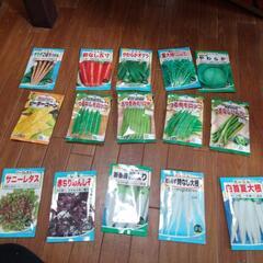 野菜種各種15袋