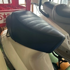 スズキ蘭の画像