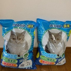 猫砂7リットル×2袋
