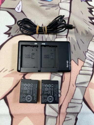 FZ300用バッテリー2本と充電器セット #1