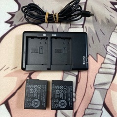 FZ300用バッテリー2本と充電器セット #1