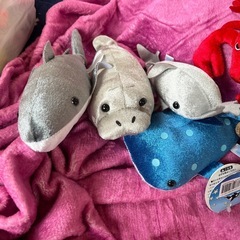 海の生き物セットの画像