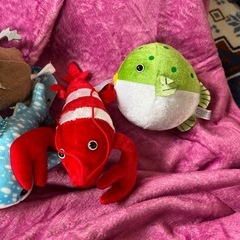 海の生き物セットの画像