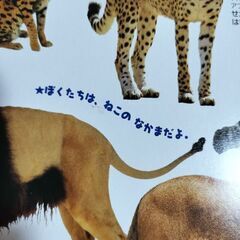 はっけんずかん どうぶつの画像