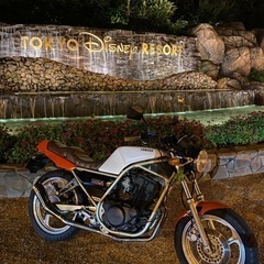 srx 250
の画像