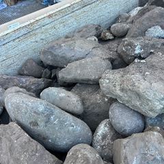 庭石　玉石　飛び石の画像