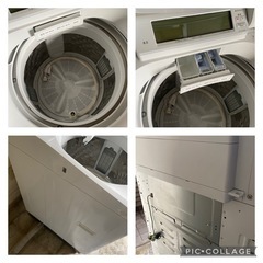 2022年製 Panasonic NA-SJFA808 の画像