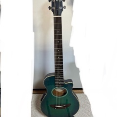 ずっと使っていないギター