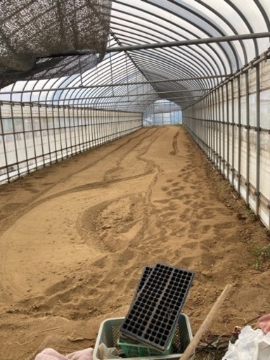 【受付終了】農業用　ビニールハウス　元2連棟　4,5mmパイプ【要解体】