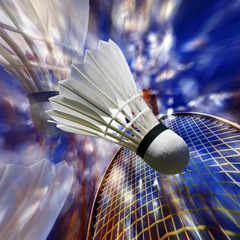東京★バドミントン🏸仲間を募集中😊 - 千代田区