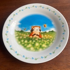 アライグマ　ラスカル