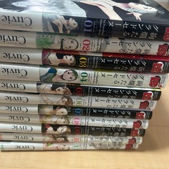 【美品】絢爛たるグランドセーヌ